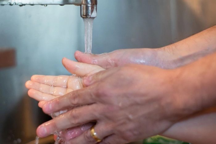 Food Safety and Hygiene in Schools CPD